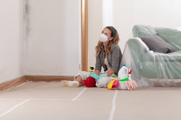 Reliable Mold Removal contractor in Gwynedd Valley, PA by WQB Mold Removal